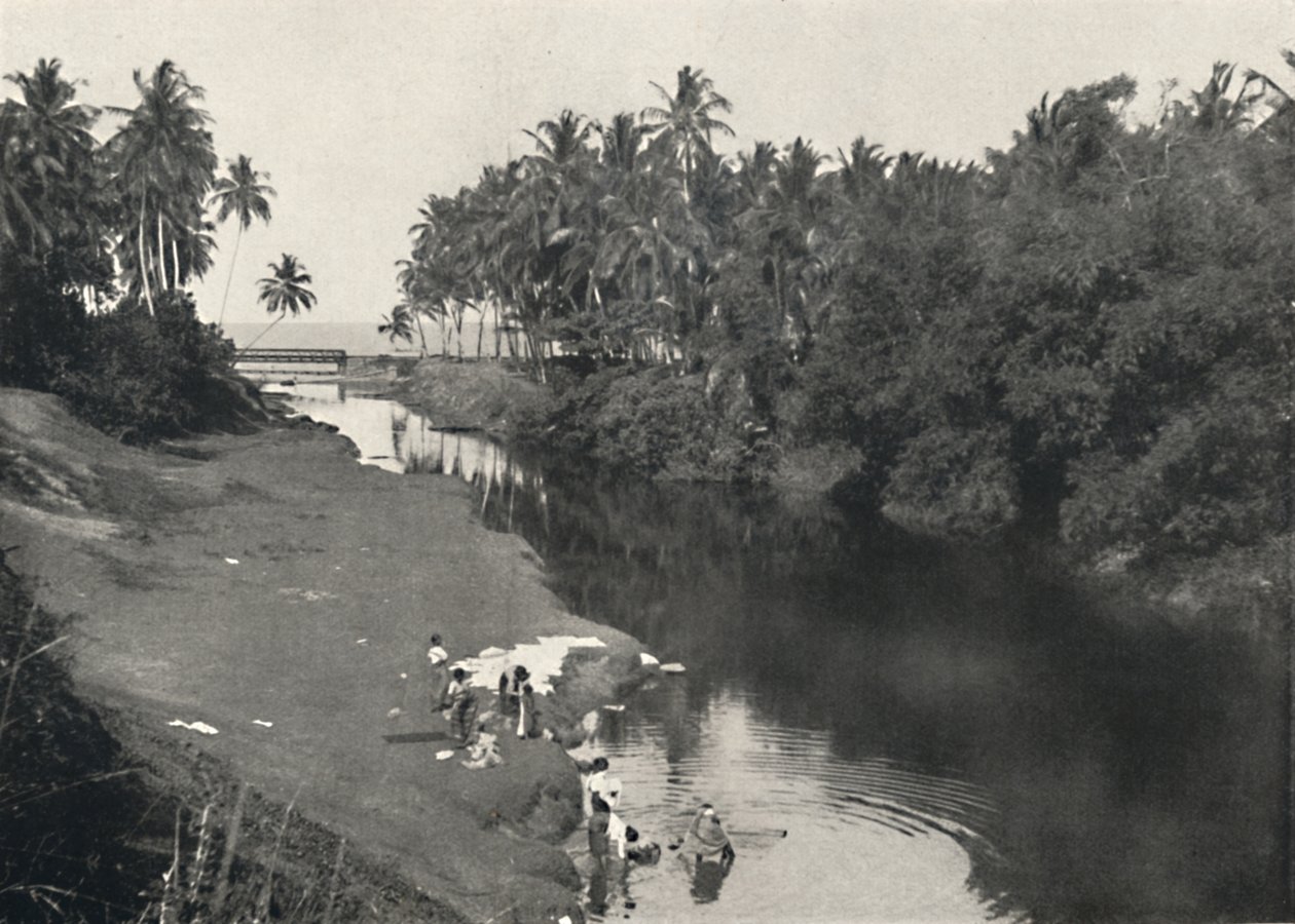 Říční krajina v Dehiwala, mezi Colombem a Mount Lavinia, 1926 od Unbekannt