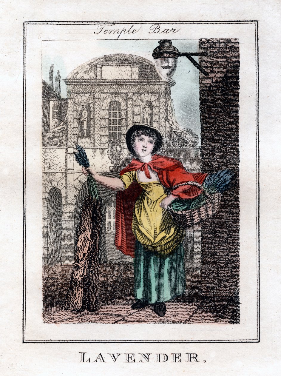Lavender, Temple Bar, Londýn, 1805 od Unbekannt