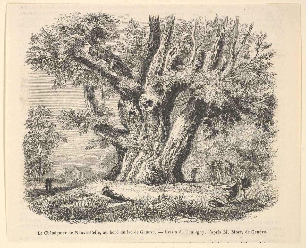 Kaštanovník Neuve-Celle, na břehu Ženevského jezera, po Daubigny, 1835-78. od Unbekannt