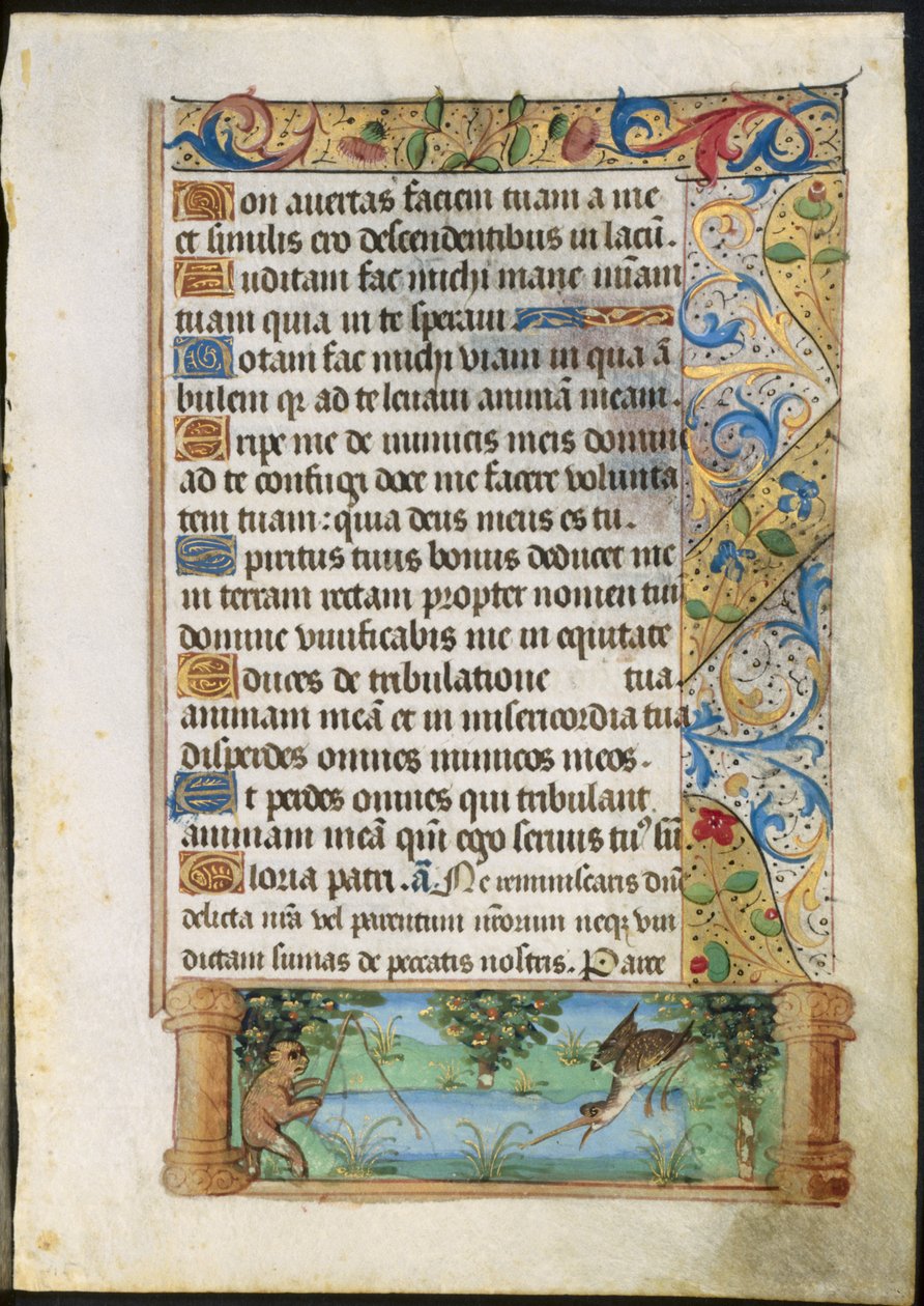 List z knihy hodin: Ape Fishing, c. 1500-1510. od Unbekannt