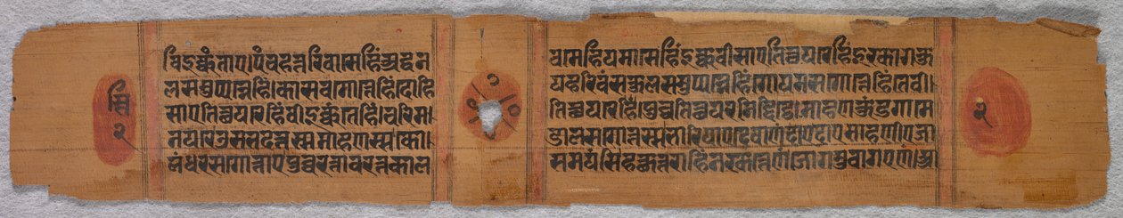 List z džinistického rukopisu: Kalpa-sutra recto, 1279. od Unbekannt