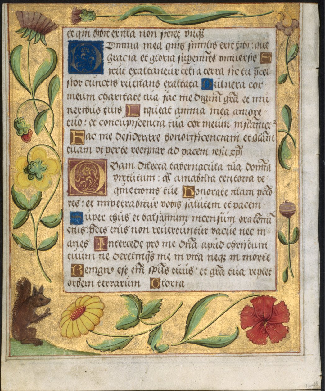 List ze žaltáře a modlitební knížky: Ornamentální hranice s květinami a veverkou, c. 1524. od Unbekannt