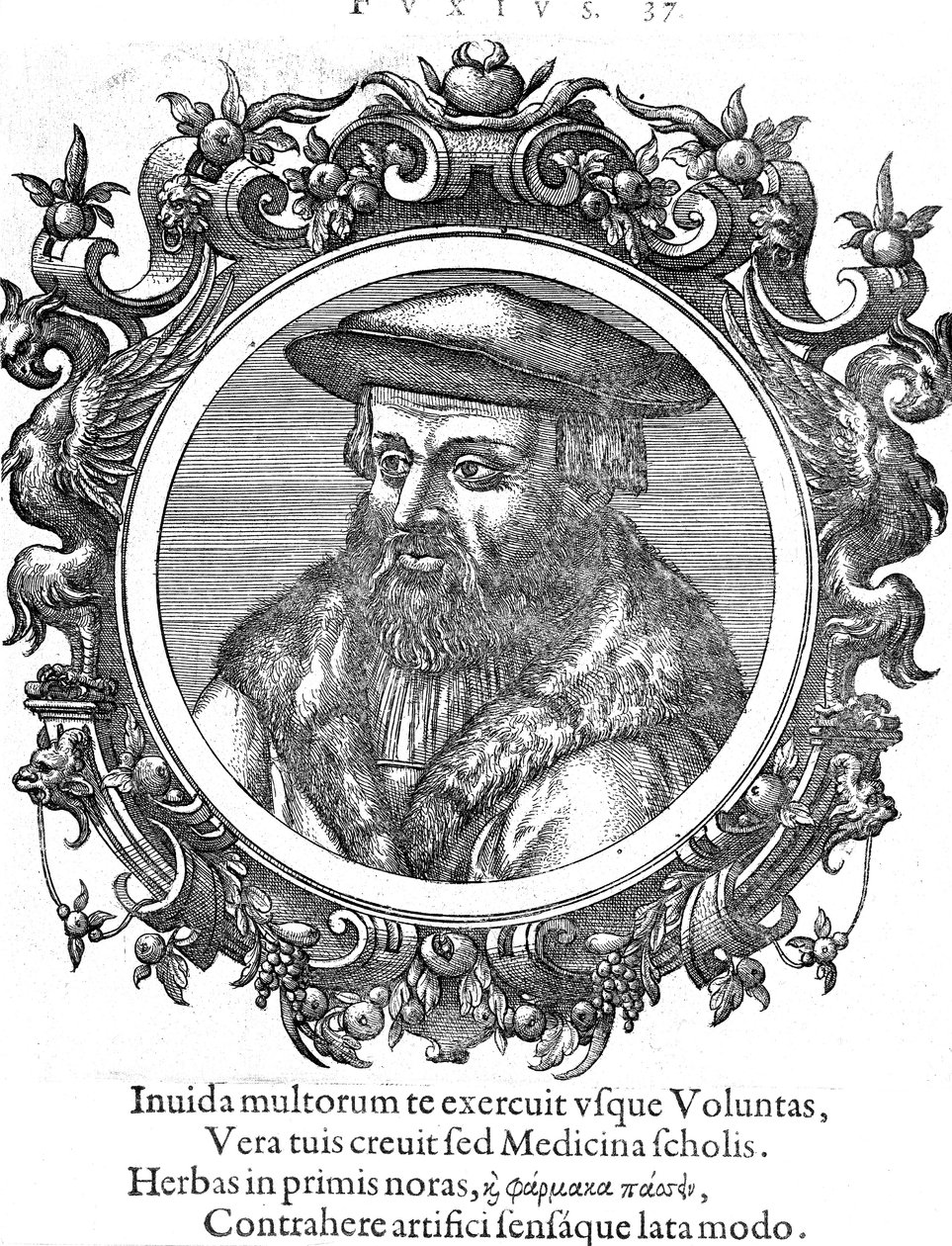 Leonhard Fuchs , německý botanik a lékař od Unbekannt