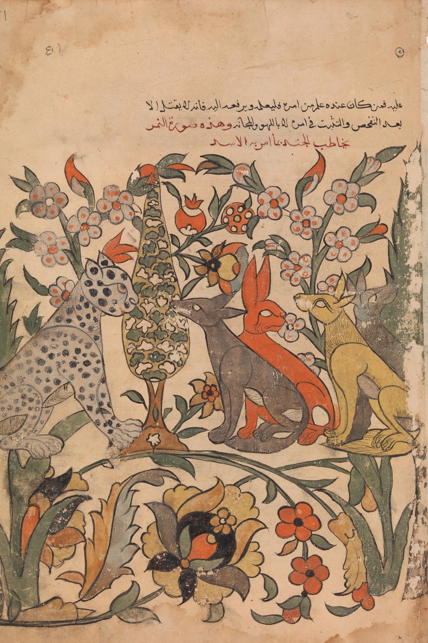 Leopard nesoucí Lví řád kolegům soudcům, Folio 51 recto z Kalila wa Dimna, 18. století. od Unbekannt