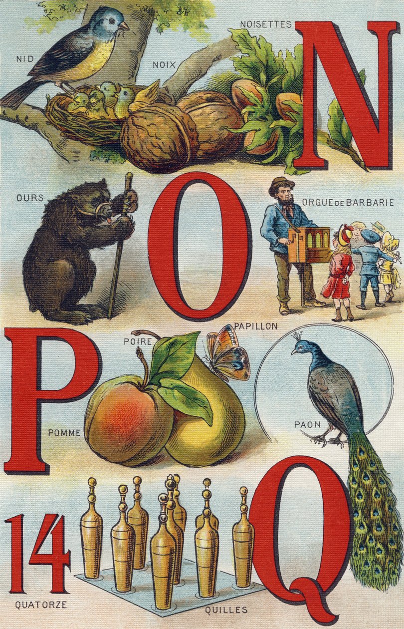 Písmena N O P Q; Hnízdo; Lískové oříšky; Vybíravý orgán; Medvěd; Páv; Butterfly Apple Hruška; Bowls. Rytina "Alphabet de ma petite fille". Bernardin-Bechet a Fils, knihkupci-nakladatelé, Paříž, kolem roku 1895. Nerozbitné album na plátně. Bibliotheque des  od Unbekannt