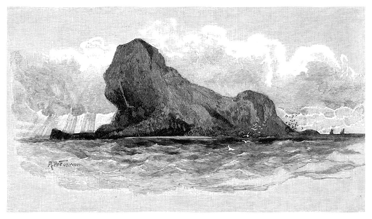 Lví ostrov, Austrálie, 1886 od Unbekannt