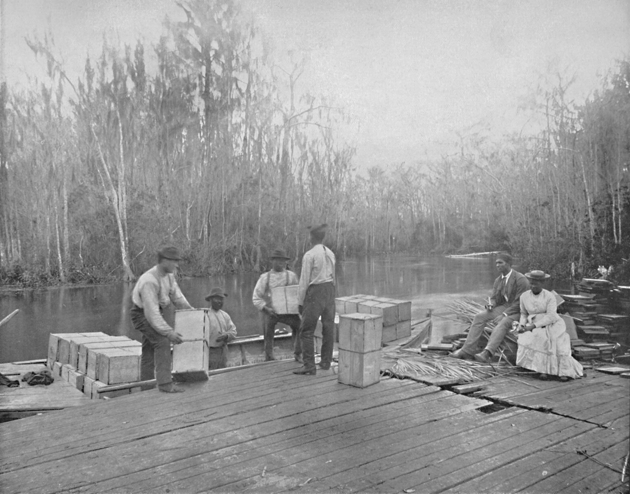 Nakládání pomerančů na řece Ocklawaha, Florida, c1897. od Unbekannt