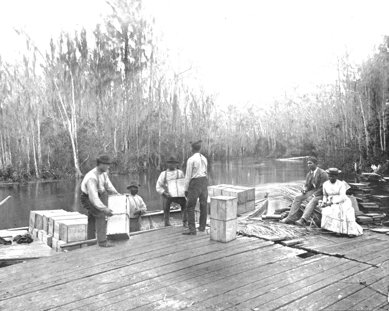 Nakládání pomerančů na řece Ocklawaha, Florida, USA, c1900. od Unbekannt