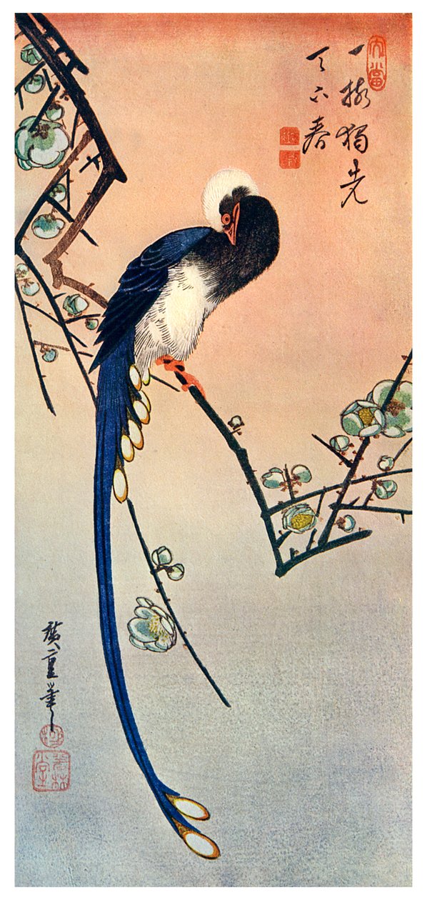 Dlouhoocasý modrý pták na větvi Plum Tree in Blossom, 19. století 1925 od Unbekannt