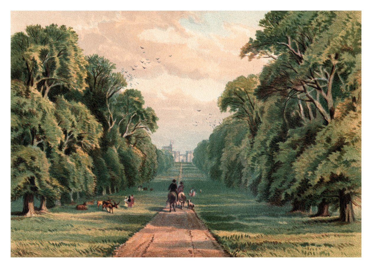 Long Walk, Windsor Park, 1880 od Unbekannt