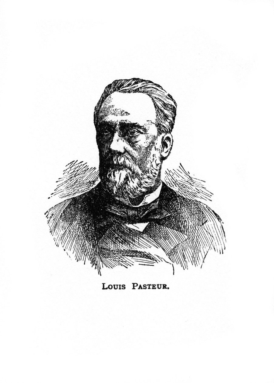 Louis Pasteur, francouzský mikrobiolog a chemik 19. století, 20. století od Unbekannt