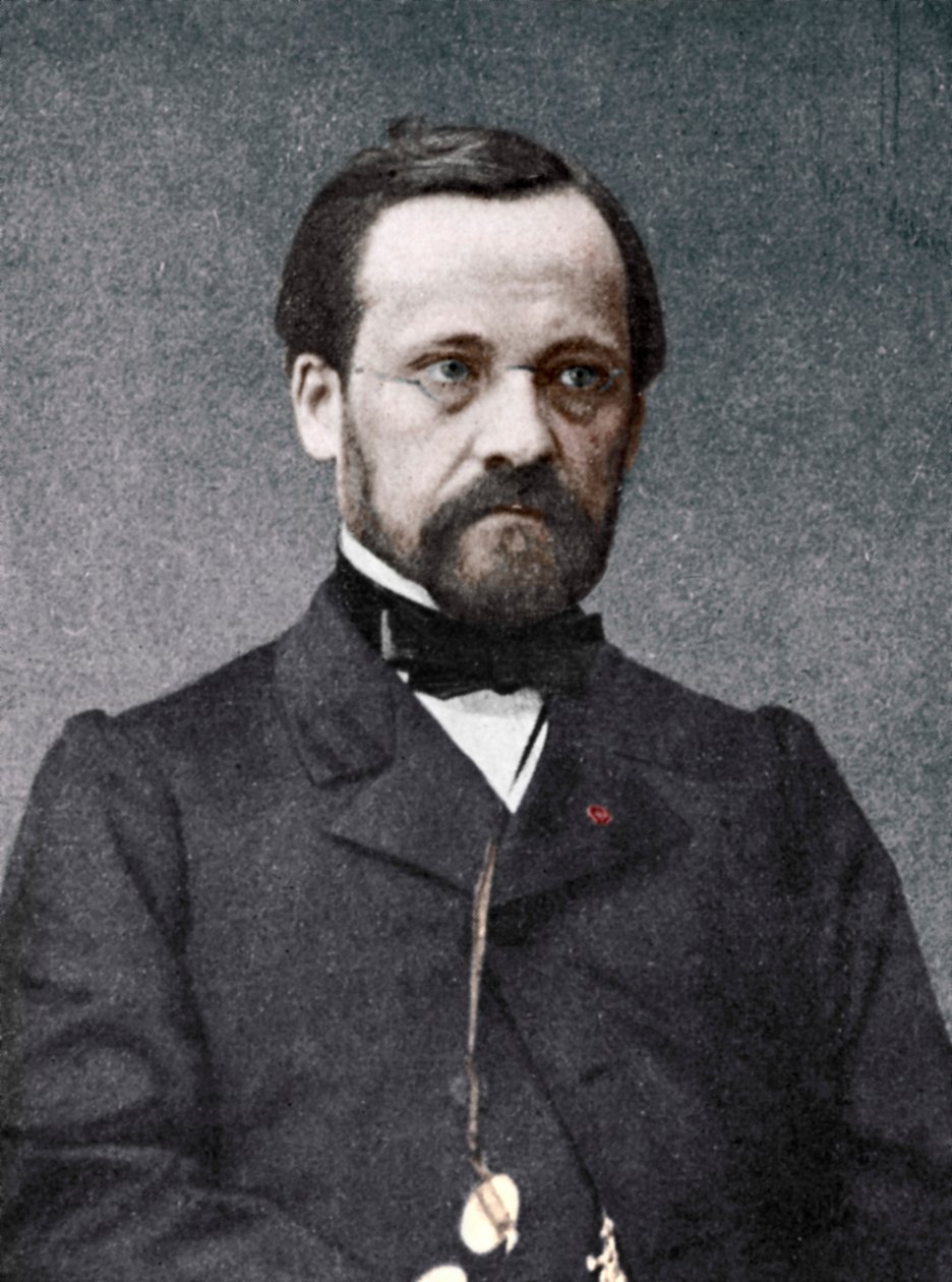Louis Pasteur, francouzský mikrobiolog a chemik, 19. století od Unbekannt