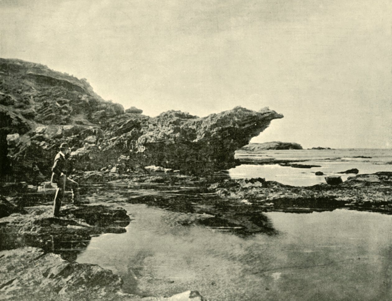 Odliv, Shelly Beach, Warrnambool, 1901. od Unbekannt