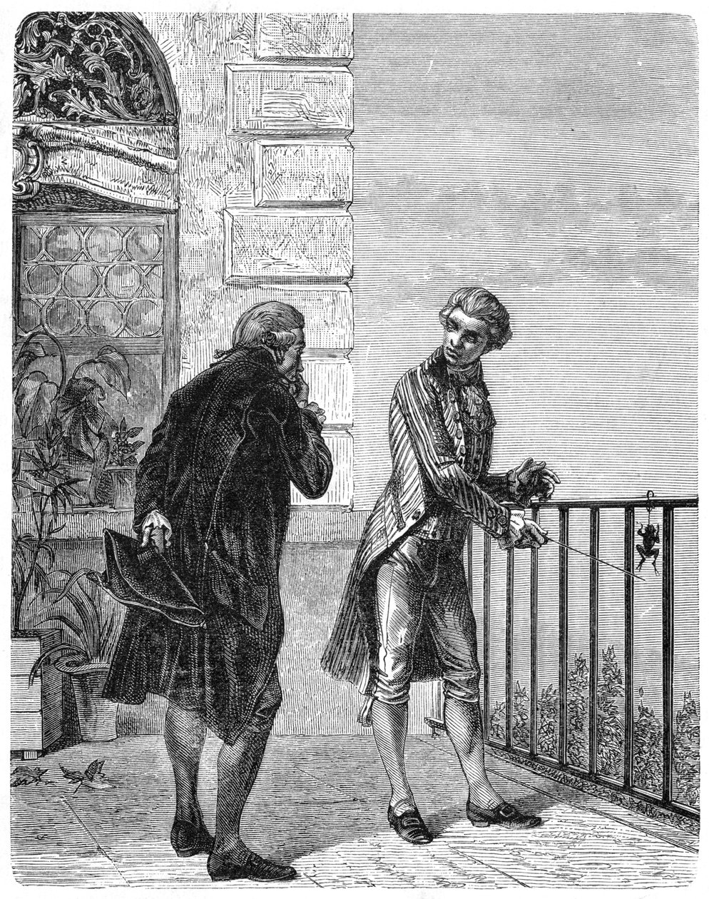 Luigi Galvani, italský fyziolog 18. století, 1880 od Unbekannt