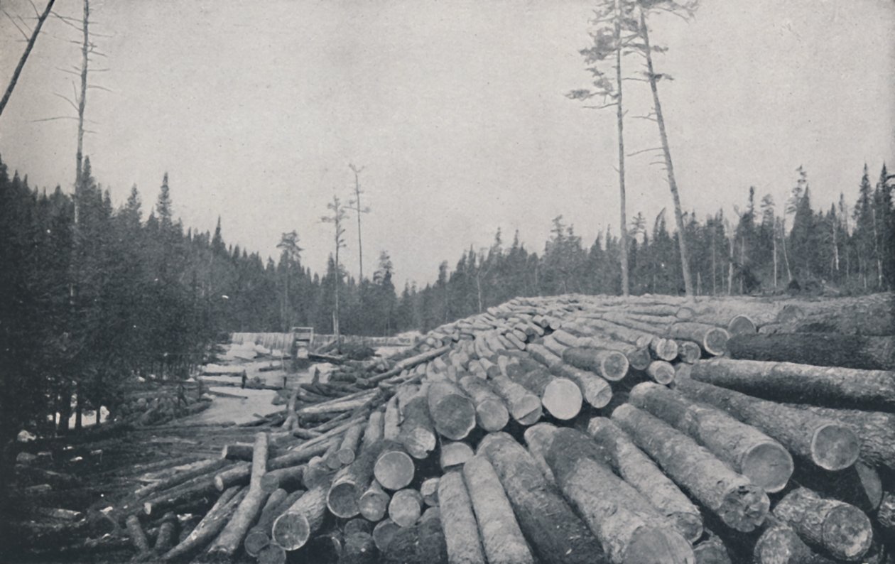 Dřevorubectví, 1924 od Unbekannt
