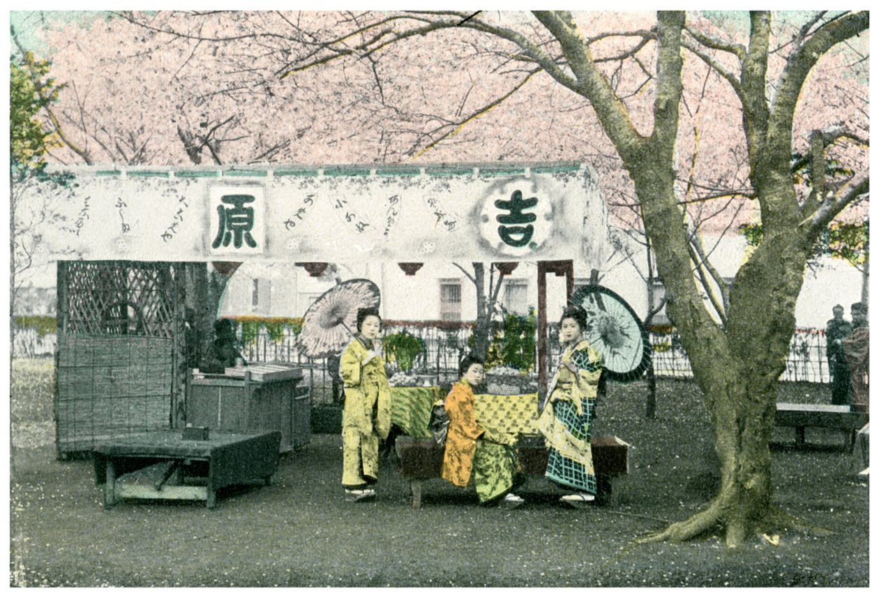 Stánek na oběd ve veřejném parku, Japonsko, 1904 od Unbekannt