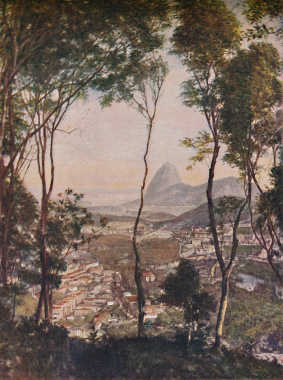 Přepychové lesy na kopci Santa Thereza s výhledem na střechy Lapy, c1935 od Unbekannt