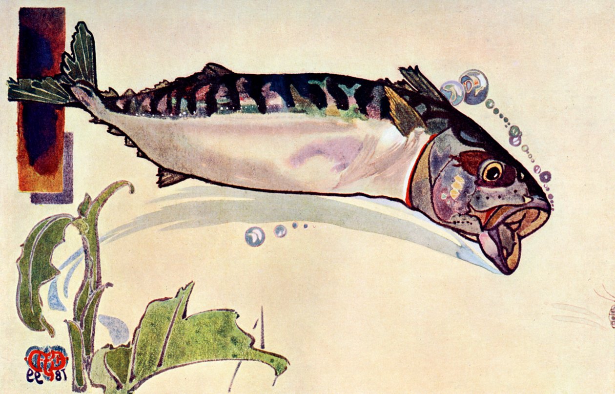 Makrela, 1900 od Unbekannt