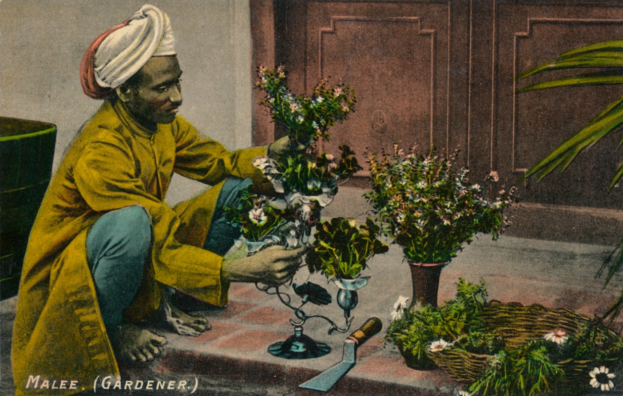 Malee Gardener, c1900 od Unbekannt