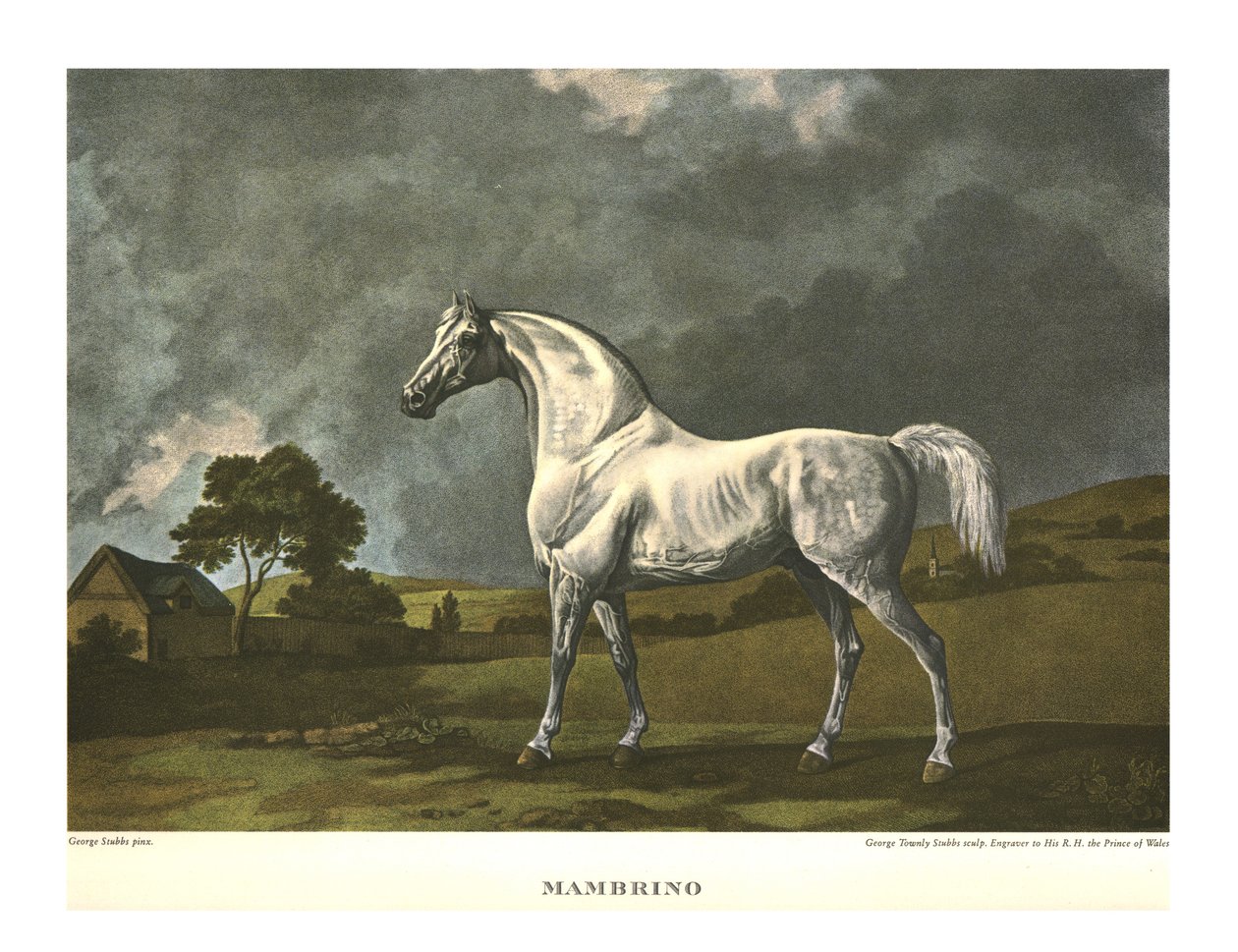 Mambrino, c1779, c1955. od Unbekannt