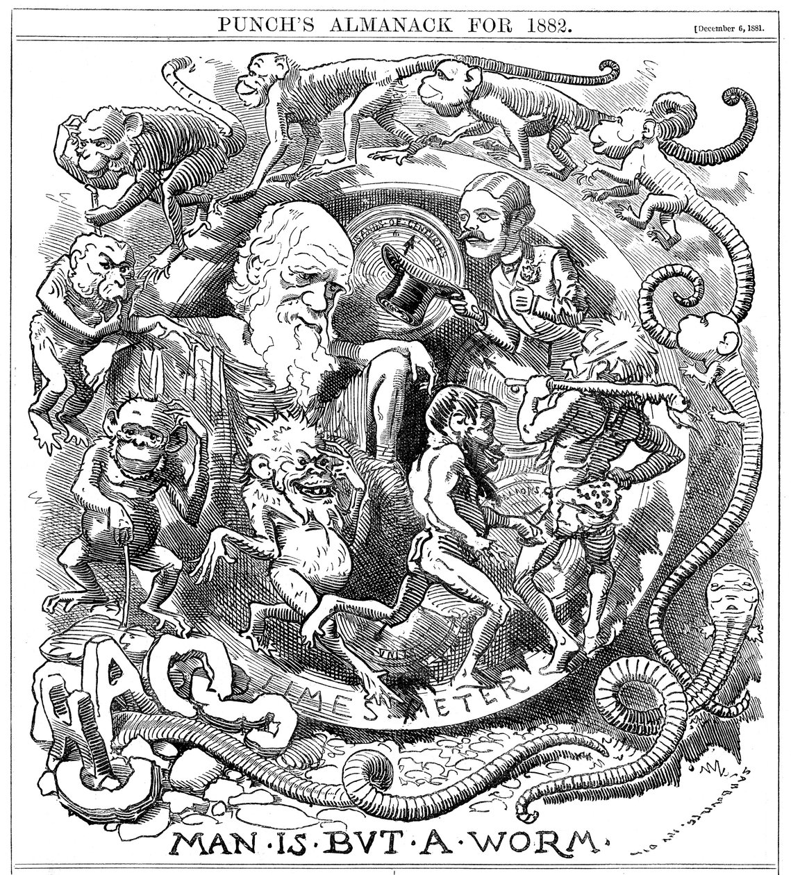 Člověk je jen červ, karikatura z Punch ukazující vývoj od červa k člověku, 1881 od Unbekannt