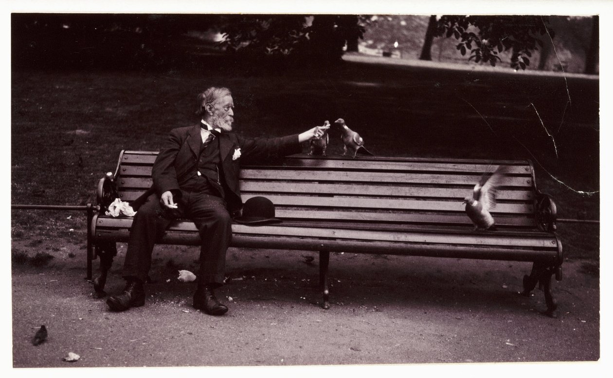 Muž na lavičce v parku, c 1920 Momentka muže sedícího na lavičce v parku, krmícího holuby, pořízená neznámým fotografem asi v roce 1920 od Unbekannt