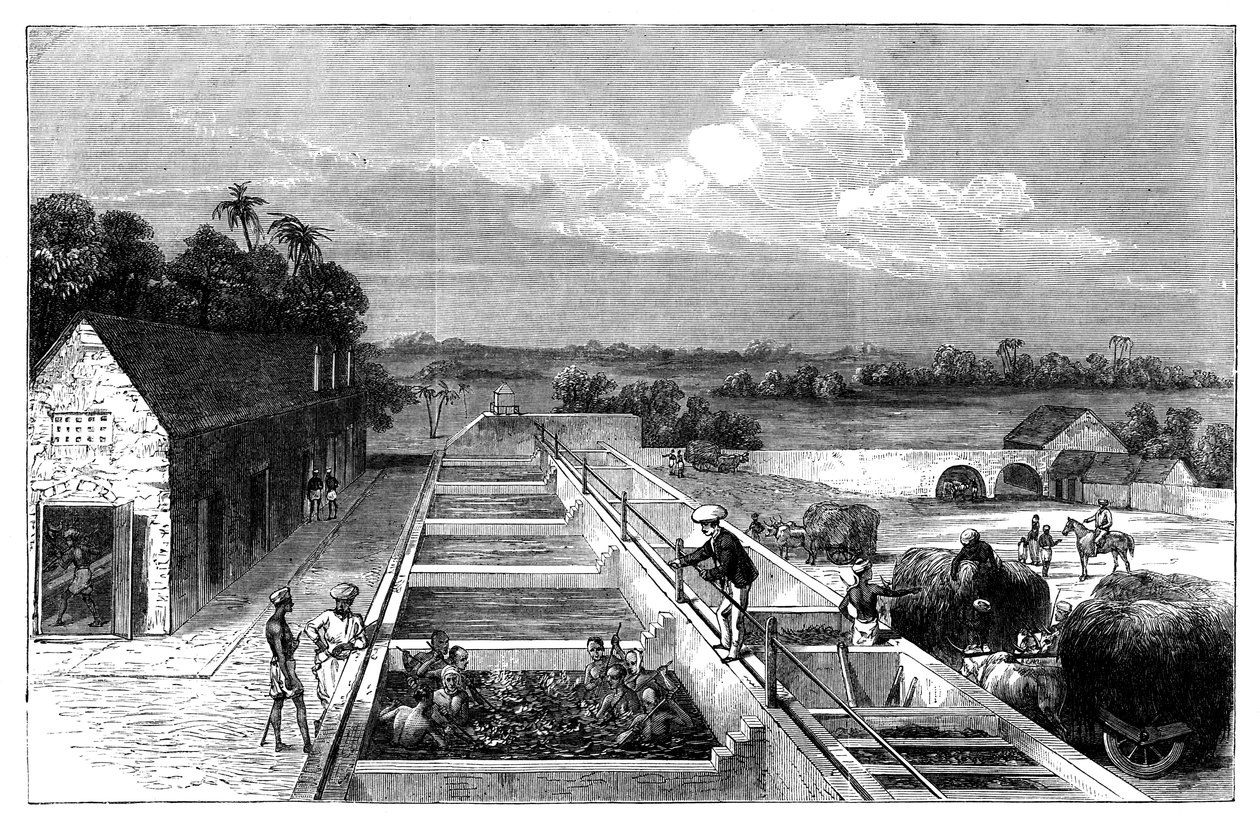 Výroba indiga v Tirhoot Muzaffarpur, Dolní Bengálsko, 1869 od Unbekannt