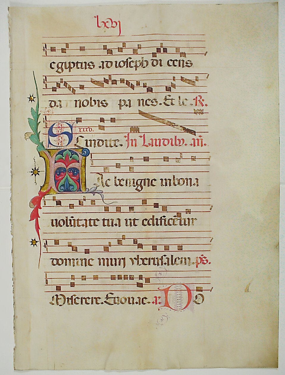Rukopisný list s iniciálou A, z antifonáře, italština, 15. století. od Unbekannt