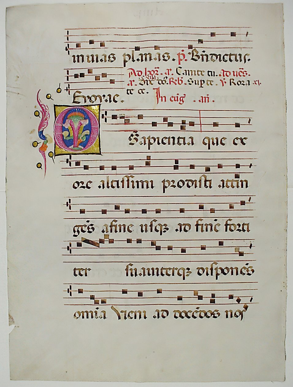 Rukopisný list s iniciálou O, z antifonáře, italština, 15. století. od Unbekannt
