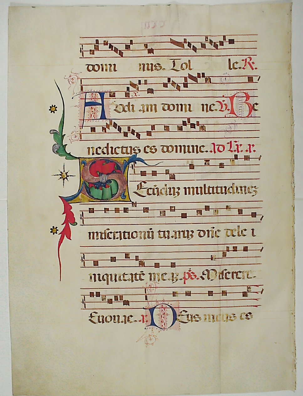 Rukopisný list s iniciálou S, z antifonáře, italština, 15. století. od Unbekannt