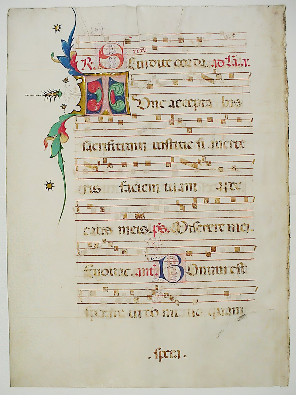 Rukopisný list s iniciálou T, z antifonáře, italština, 15. století. od Unbekannt
