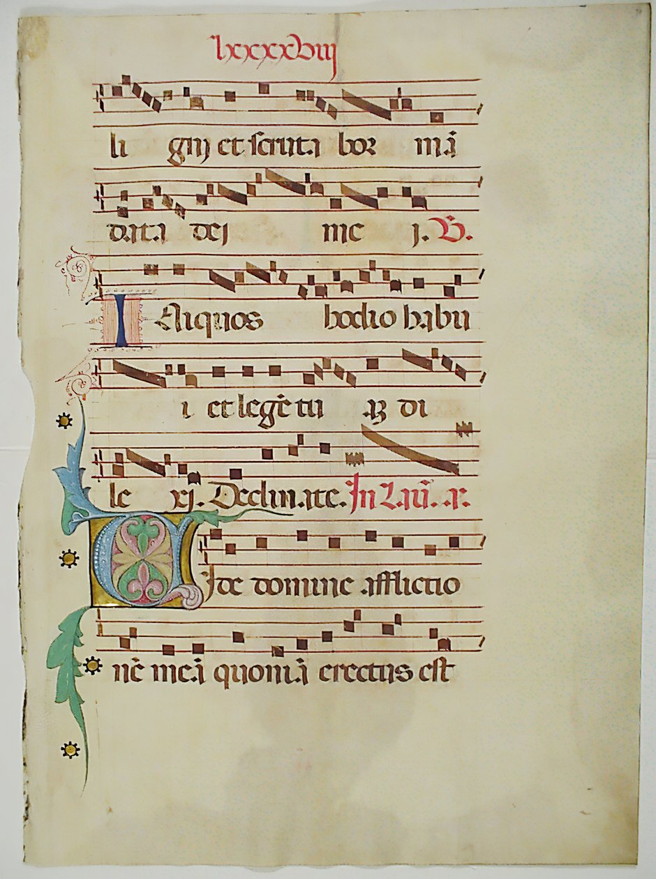 Rukopisný list s iniciálou V, z antifonáře, italština, 15. století. od Unbekannt
