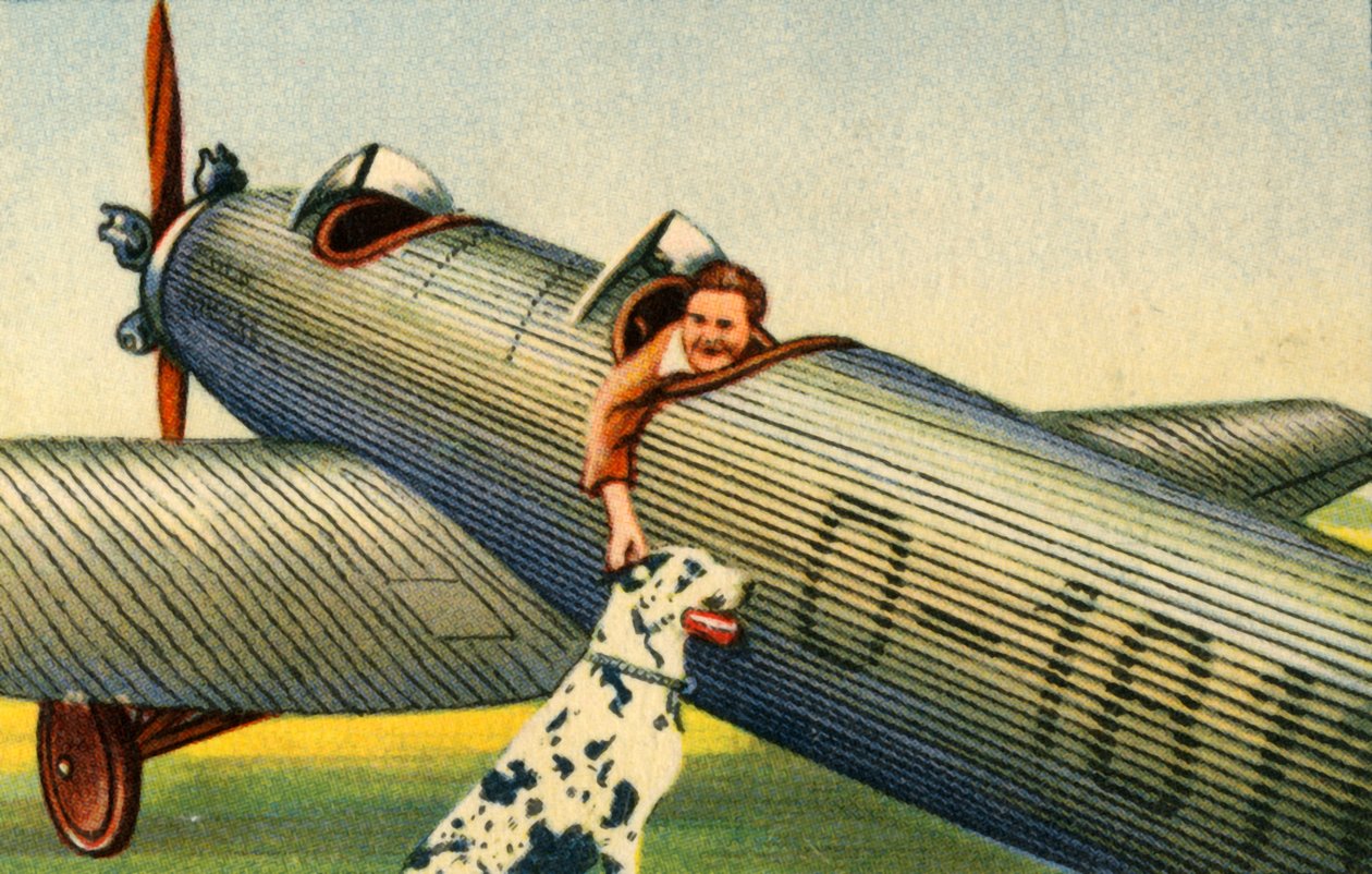 Marga von Etzdorf se svým letadlem, 1932. od Unbekannt
