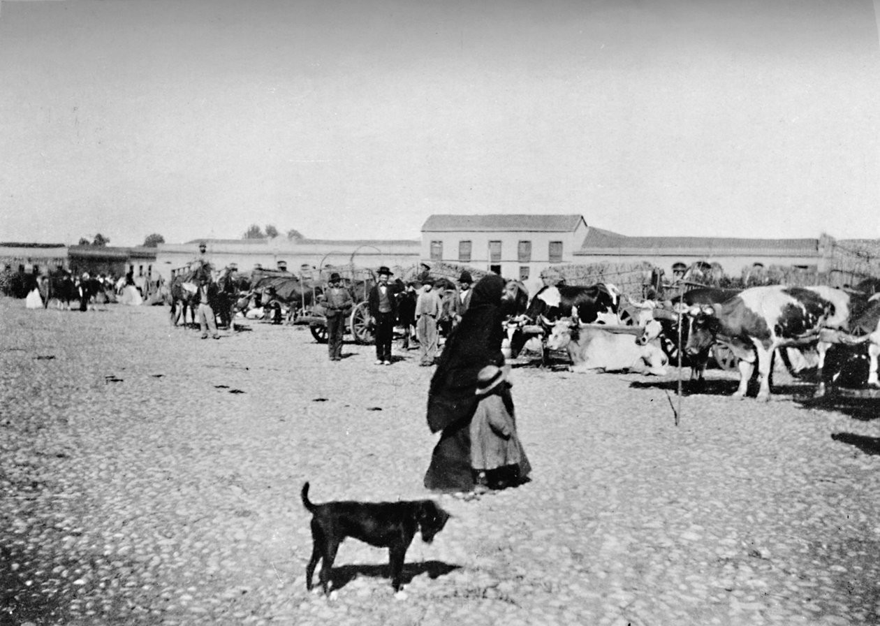 Trhový den v Chillan, 1911 od Unbekannt