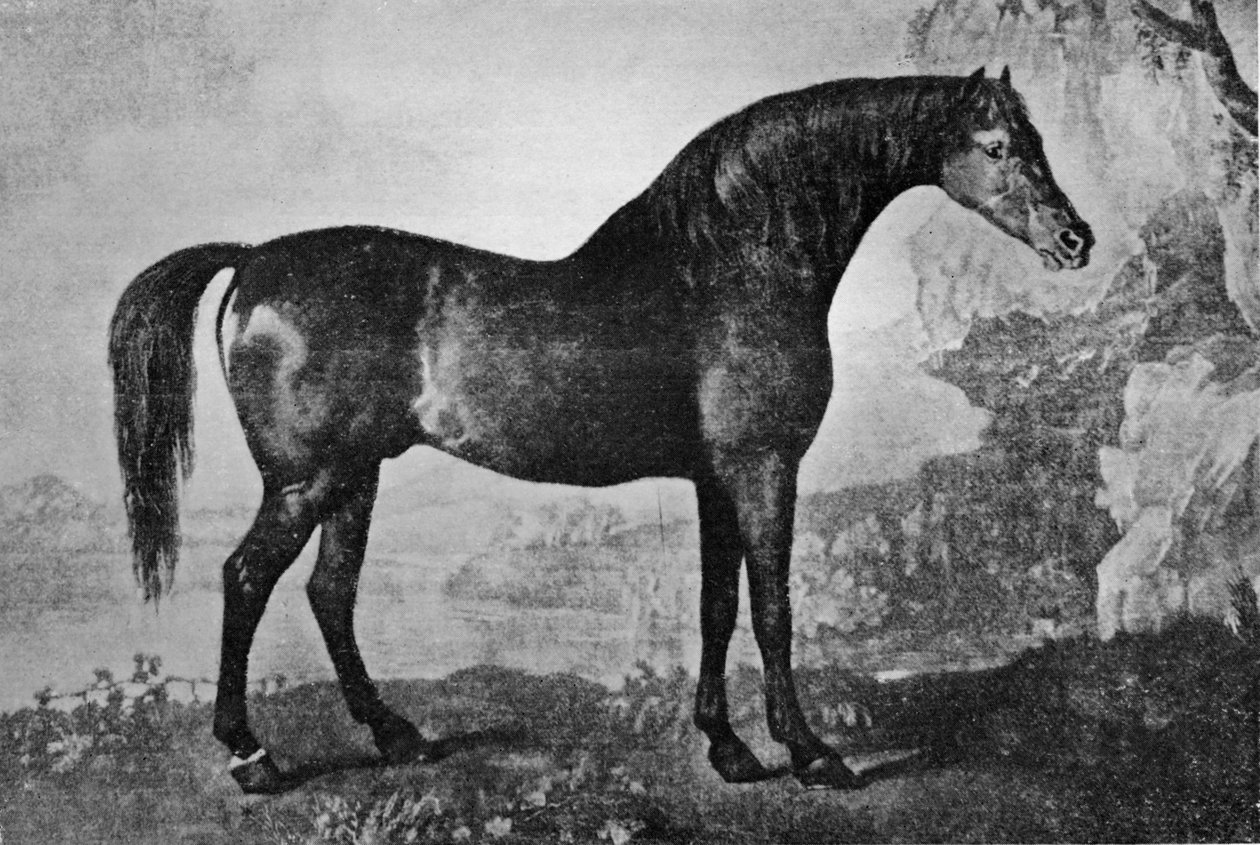 Marske, 1750-1779, 1911 od Unbekannt
