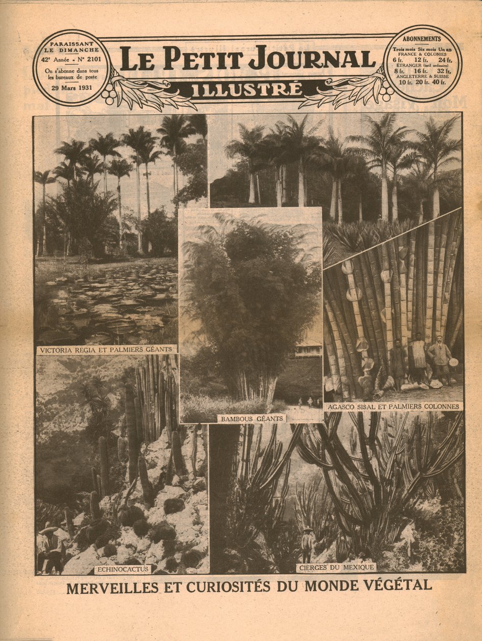 Zázraky a kuriozity světa rostlin, 1931. od Unbekannt