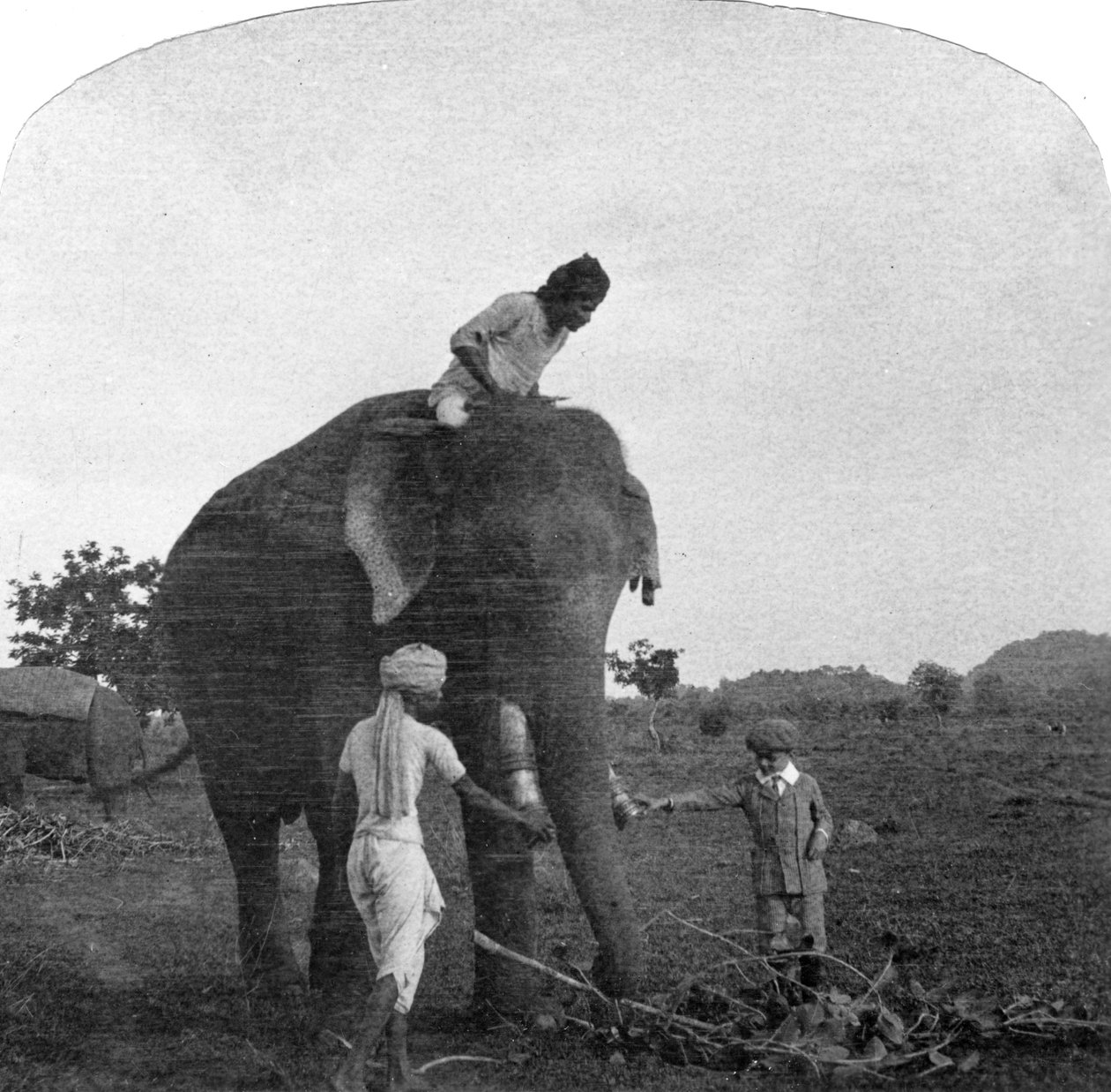 Mistr Ekbal krmení slona, Indie, 1900 od Unbekannt
