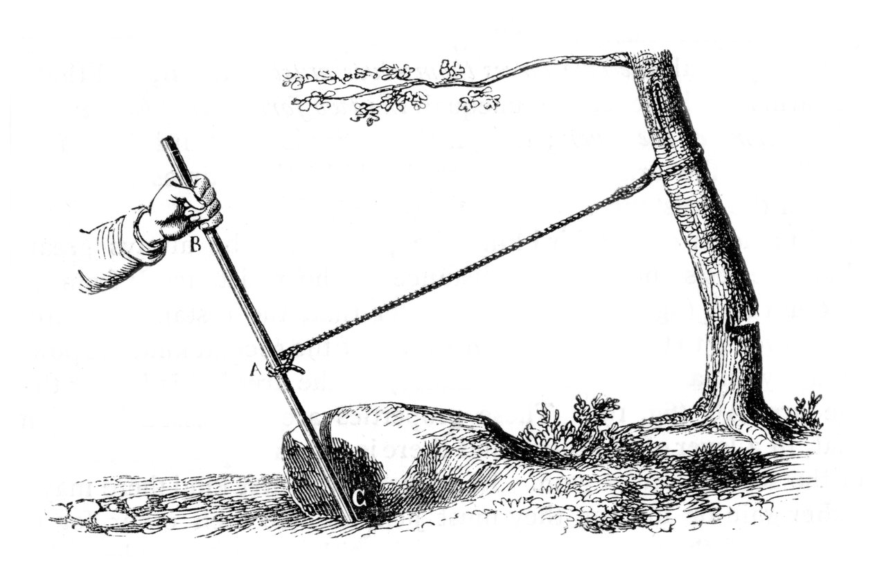 Mechanická výhoda: Síla páky, 1877 od Unbekannt