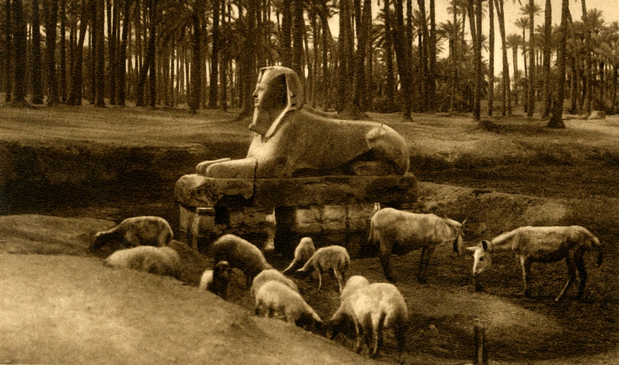 Memphis - Alabastrová sfinga, c1918-c1939. od Unbekannt