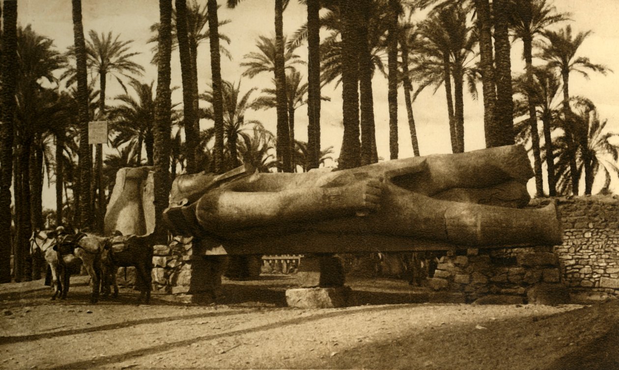 Memphis - Kolosální socha Rameses II, c1918-c1939. od Unbekannt