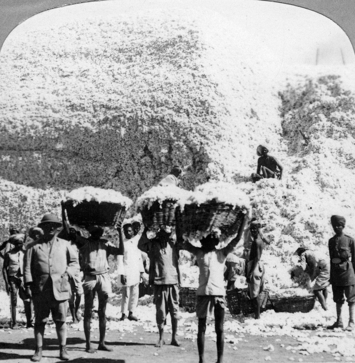 Muži nesoucí koše bavlny v továrně na bavlnu Indore, Indie, 1900 od Unbekannt