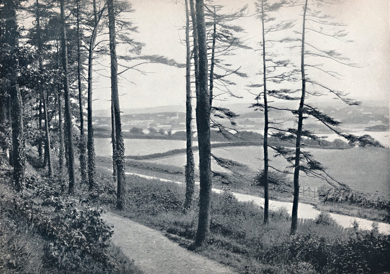 Menai - Z Bangor Wood, 1895 od Unbekannt