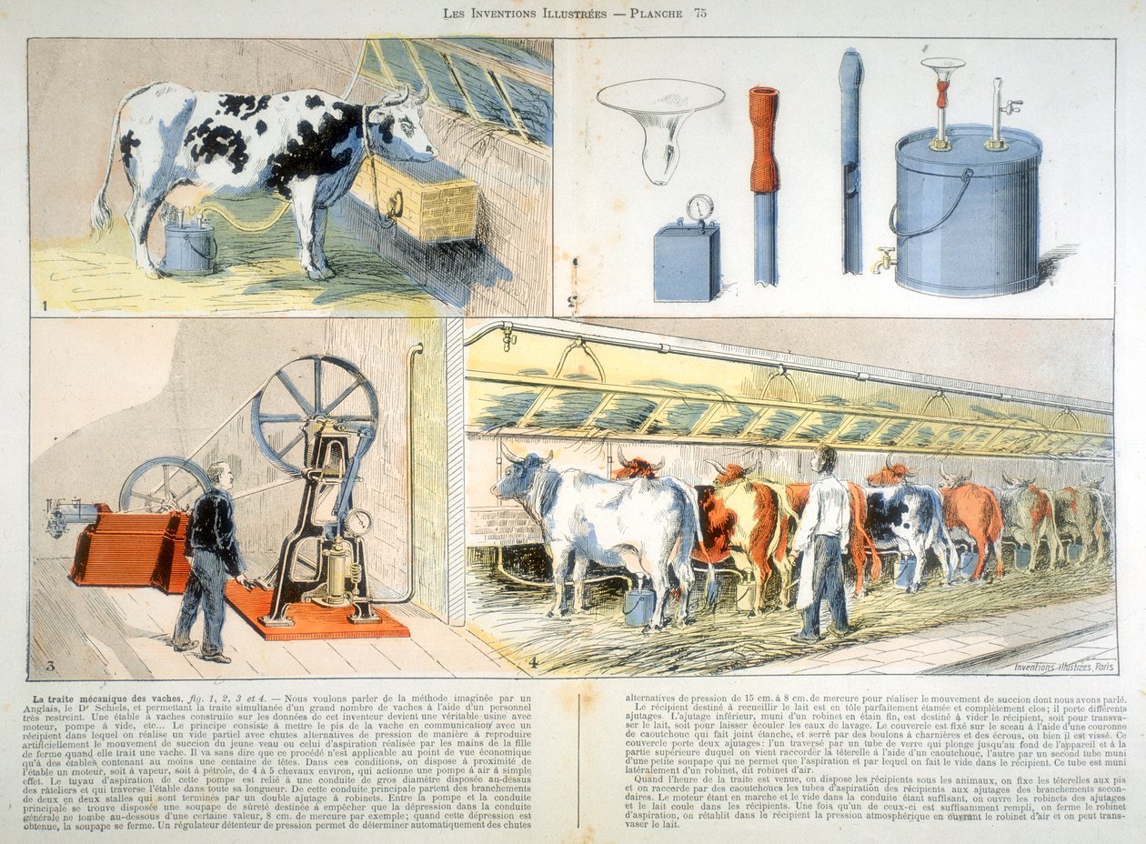 Dojírna vybavená sacím a pulzačním dojicím strojem Thistle, 1899 od Unbekannt