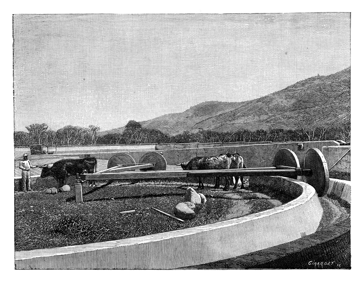 Mlýnek na loupání kávy, Střední Amerika, c1890 od Unbekannt