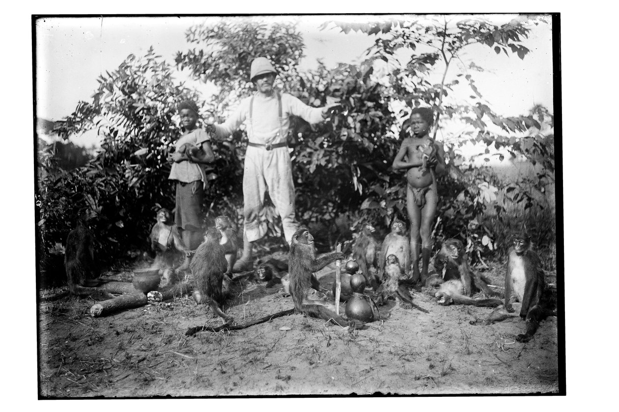 Opice, cca 1910 (černobílá fotografie) od Unbekannt