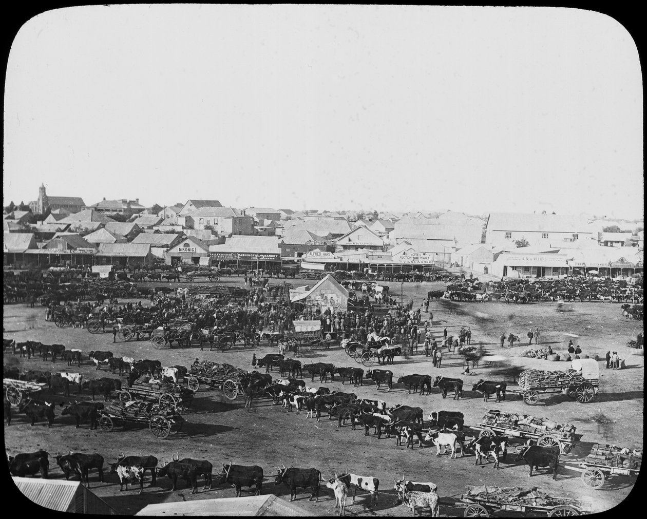 Ranní trh, Kimberley, Jižní Afrika, c1890 od Unbekannt