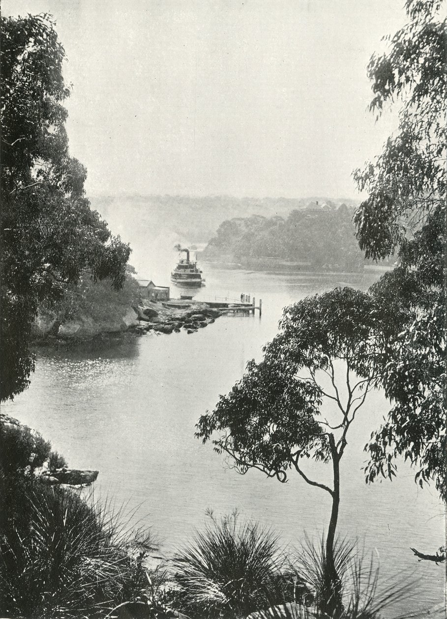 Mosmans Bay, z Cremorne Jetty, c1900. od Unbekannt