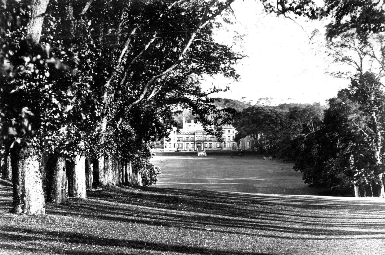 Mount Edgcumbe, c1882 od Unbekannt