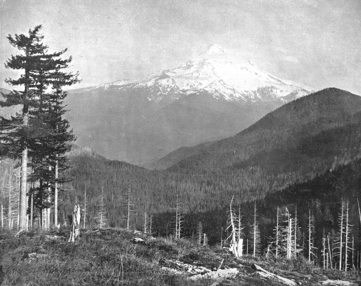 Mount Hood, Oregon, USA, c1900. od Unbekannt