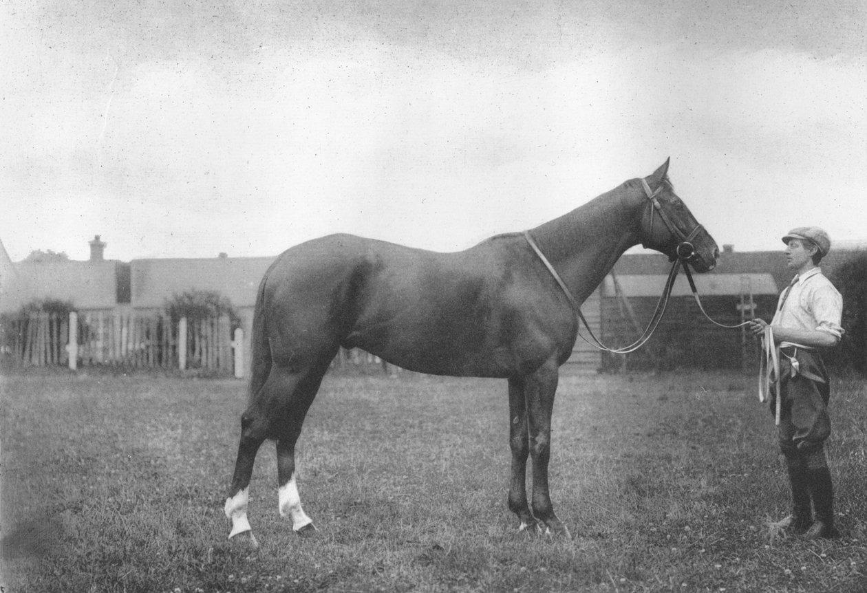 Mount Prospects Fortune, 1911 od Unbekannt